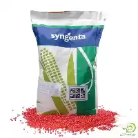 قیمت خرید بذر ذرت دارخما در شیراز در گروه خرید و فروش بذر ذرت در یکمیوه