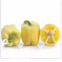 فروش بذر فلفل دلمه مارادونا در گروه خرید و فروش بذر فلفل در یکمیوه