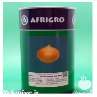 قیمت خرید بذر پیاز زرد روز در ارومیه در گروه خرید و فروش بذر پیاز در یکمیوه