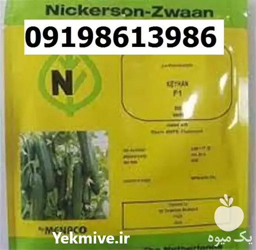 بذر خیار کیهان پرفروش اصل در مشهد در گروه خرید و فروش بذر خیار در یکمیوه -عکس1