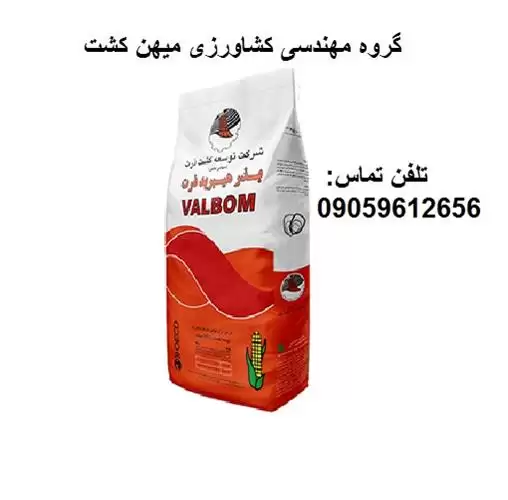 فروش بذر ذرت والبوم در گروه خرید و فروش بذر ذرت در یکمیوه -عکس1