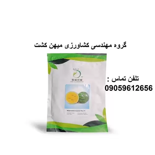 بذر هندوانه زرد آناناسی دونگیا در کرمان  در گروه خرید و فروش بذر هندوانه در یکمیوه -عکس1