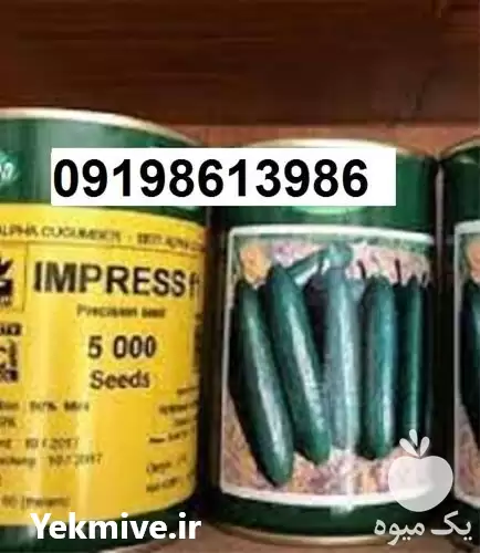 بذر خیار ویلمورین زودرس پرفروش در اهواز در گروه خرید و فروش بذر خیار در یکمیوه -عکس1