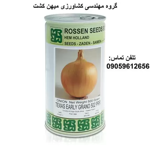 بذر پیاز زرد تگزاس در اصفهان در گروه خرید و فروش بذر پیاز در یکمیوه -عکس1