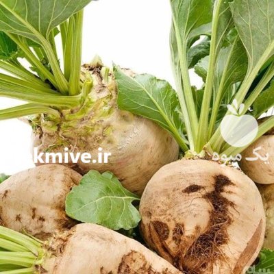 شراکت با خریدن چغندر قند در گروه خرید و فروش چغندر در یکمیوه -عکس1