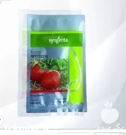 فروش بذر گوجه فرنگی RFT 732216 در ارومیه در گروه خرید و فروش بذر گوجه در یکمیوه -عکس1