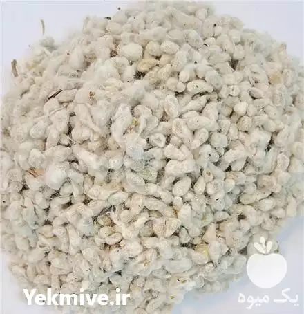 قیمت خرید پنبه دانه در پردیس در گروه خرید و فروش گیاهان صنعتی در یکمیوه -عکس1