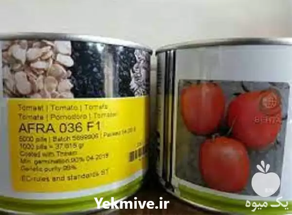 قیمت خرید توزیع بذر گوجه فرنگی در تهران در گروه خرید و فروش بذر گوجه در یکمیوه -عکس1