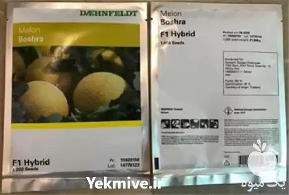 قیمت خرید بذر ملون بشرا در گروه خرید و فروش بذر ملون در یکمیوه -عکس1