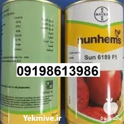 قیمت خرید بذر گوجه فرنگی سانسید در گروه خرید و فروش بذر گوجه در یکمیوه -عکس1