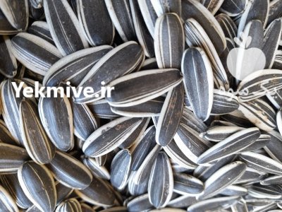 تخمه دور سفید خوی در آذربایجان غربی در گروه انواع تخم ها در یکمیوه -عکس1