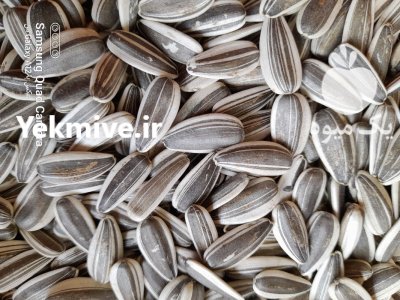 تخمه دور سفید خوی در آذربایجان غربی در گروه انواع تخم ها در یکمیوه -عکس3