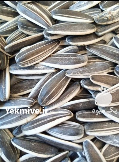 تخمه دور سفید خوی در آذربایجان غربی در گروه انواع تخم ها در یکمیوه -عکس4