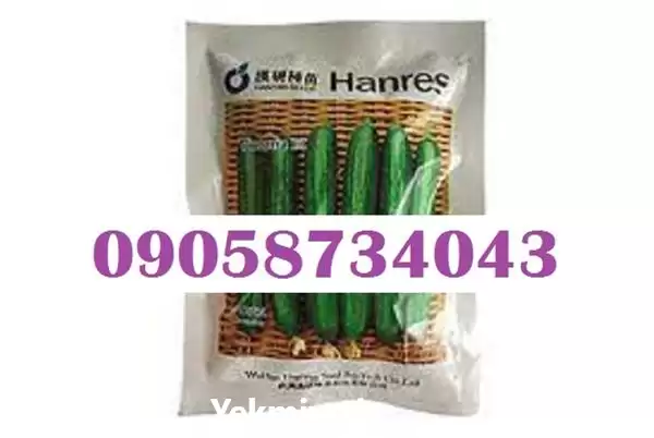 قیمت خرید بذر خیار ویکتوریا بذر در شیراز در گروه خرید و فروش بذر خیار در یکمیوه -عکس1