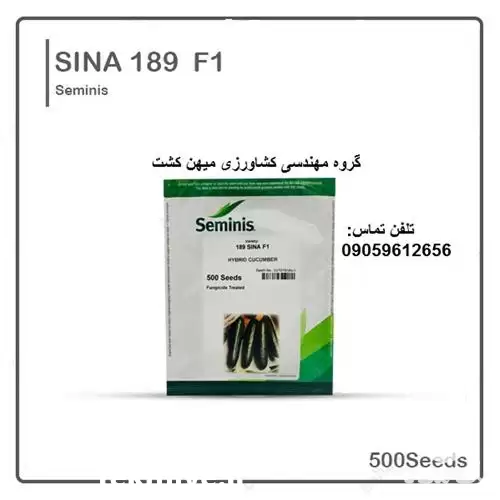 قیمت خرید بذر خیار گلخانه ای در زاهدان در گروه خرید و فروش بذر خیار در یکمیوه -عکس1