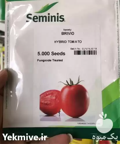 فروش بذر گوجه فرنگی 8320 در شیراز در گروه خرید و فروش بذر گوجه در یکمیوه -عکس1
