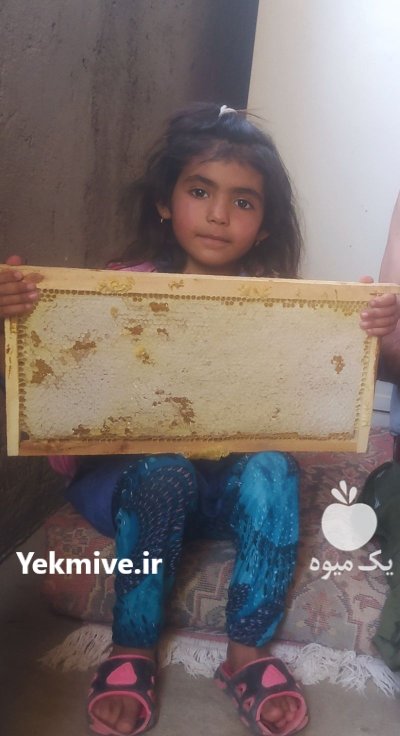 فروش عسل طبیعی و درمانی در زنجان در گروه عسل شیره و فرآورده ی مربا در یکمیوه -عکس1