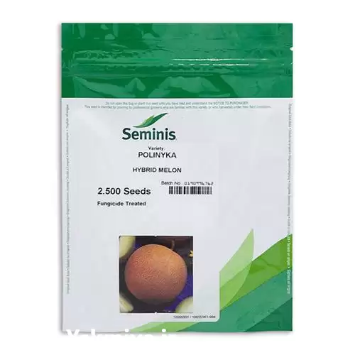 قیمت خرید بذر ملون هیبرید پولینیکا در مشهد در گروه خرید و فروش بذر ملون در یکمیوه -عکس1