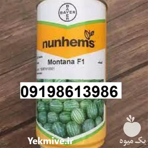 فروش بذر هندوانه مونتانا در بوشهر در گروه خرید و فروش بذر هندوانه در یکمیوه -عکس1
