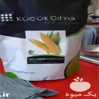 فروش بذر ذرت شایان در اهواز در گروه خرید و فروش بذر ذرت در یکمیوه