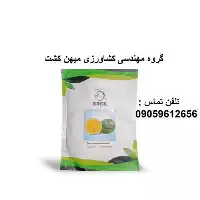 بذر هندوانه زرد آناناسی دونگیا در کرمان  در گروه خرید و فروش بذر هندوانه در یکمیوه