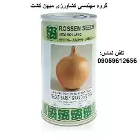 بذر پیاز زرد تگزاس در اصفهان در گروه خرید و فروش بذر پیاز در یکمیوه