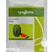 فروش بذر هندوانه آدنا مناسب صادرات در گروه خرید و فروش بذر هندوانه در یکمیوه