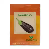 فروش توزیع بذر بادمجان قلمی نگرو در ارومیه در گروه خرید و فروش بذر بادمجان در یکمیوه