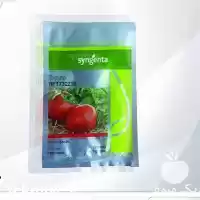 فروش بذر گوجه فرنگی RFT 732216 در ارومیه در گروه خرید و فروش بذر گوجه در یکمیوه