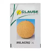 فروش بذر ملون هیبرید میلاگرو در تهران در گروه خرید و فروش بذر خربزه در یکمیوه