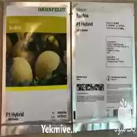 قیمت خرید بذر ملون بشرا در گروه خرید و فروش بذر ملون در یکمیوه