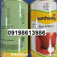 قیمت خرید بذر گوجه فرنگی سانسید در گروه خرید و فروش بذر گوجه در یکمیوه