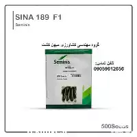 قیمت خرید بذر خیار گلخانه ای در زاهدان در گروه خرید و فروش بذر خیار در یکمیوه