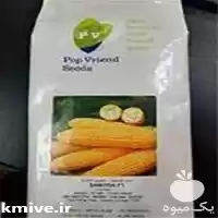 فروش بذر ذرت شیرین سنتینل در تبریز در گروه خرید و فروش بذر ذرت در یکمیوه