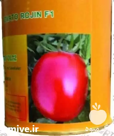 فروش بذر گوجه فرنگی روژین در اصفهان در گروه خرید و فروش بذر گوجه در یکمیوه -عکس1