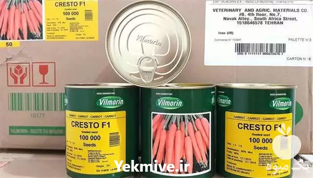 فروش بذر هویج کریستو در تهران در گروه خرید و فروش بذر هویج در یکمیوه -عکس1