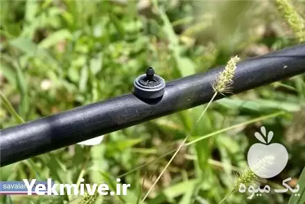 قیمت خرید اجرای آبیاری قطره ای در اصفهان در گروه خرید و فروش دستگاه آبیاری در یکمیوه -عکس1
