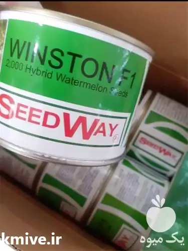 فروش بذر هیبرید هندوانه وینستون در گروه خرید و فروش هندوانه در یکمیوه -عکس1