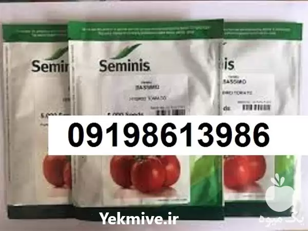 فروش قیمت بذر گوجه فرنگی باسیمو در گروه خرید و فروش بذر گوجه در یکمیوه -عکس1