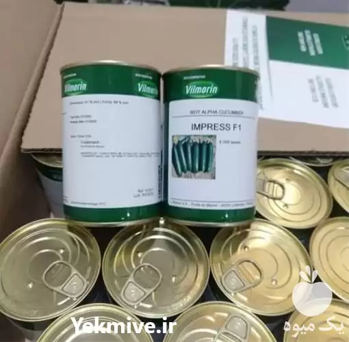 فروش و عرضه بذر خیار در خرم‌ آباد در گروه خرید و فروش بذر خیار در یکمیوه -عکس1