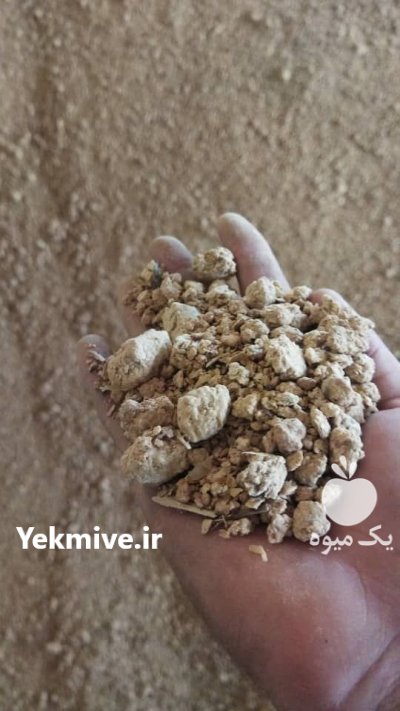 سویا سویا ناب در قزوین در گروه خوراک دام و طیور در یکمیوه -عکس2