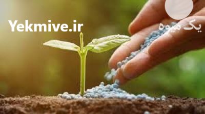 فروش کود نانو ریزمغذی کشاورزی در تهران در گروه خرید و فروش انواع کود کشاورزی در یکمیوه -عکس1