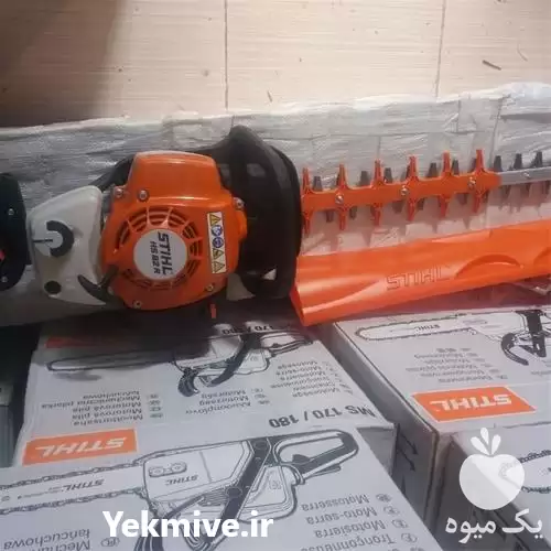 قیمت خرید شمشاد زن در کرج در گروه خرید و فروش شمشاد زن در یکمیوه -عکس1