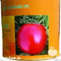 فروش بذر گوجه فرنگی روژین در اصفهان در گروه خرید و فروش بذر گوجه در یکمیوه