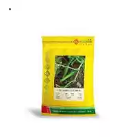 بذر خیار گلوریا پرفروش آمریکایی در اهواز در گروه خرید و فروش بذر خیار در یکمیوه