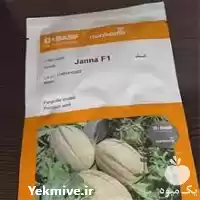 قیمت خرید قیمت بذر خربزه جانا در اصفهان در گروه خرید و فروش بذر خربزه در یکمیوه