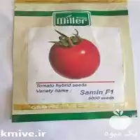 فروش عرضه بذر گوجه فرنگی ثمین در اهواز در گروه خرید و فروش بذر گوجه در یکمیوه
