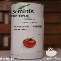 بذر گوجه فرنگی ثمین پر فروش در رشت در گروه خرید و فروش گوجه فرنگی در یکمیوه