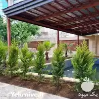 خدمات باغبانی و باغچه در زعفرانیه در گروه خدمات باغبانی در یکمیوه