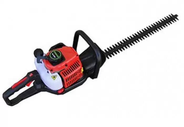 قیمت خرید شمشاد زن آگرو قیمت در گروه خرید و فروش شمشاد زن در یکمیوه -عکس1